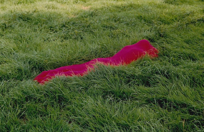 Pink Figure in Grass